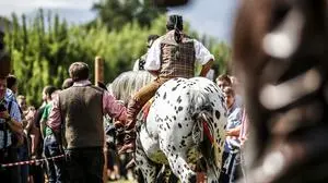 Beim Kufenstechen sind junge Männer auf ungesattelten Pferden unterwegs