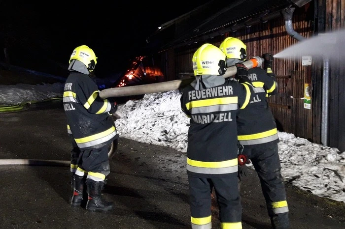 Der Besitzer alarmierte die Feuerwehr.