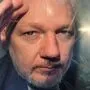 WikiLeaks-Gründer Julian Assange