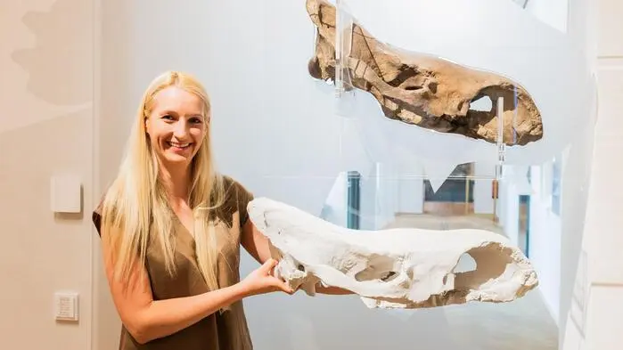 Sandra Rutter mit dem 3-D-Modell des Wollnashornschädels