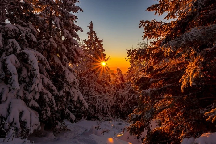 "Am Sonntag bin ich um 6 Uhr vom Teichalmsee bei minus 15,5 Grad aufgebrochen. Am Gipfel hatte es an manchen Stellen ca. 50 cm Schnee und der Himmel war sehr klar mit einer tollen Fernsicht", berichtet der passionierte Hobbyfotograf.