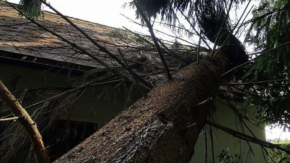 In Kleinedling, Stadtgemeinde Wolfsberg, stürzte ein Baum auf ein Wirtschaftsgebäude