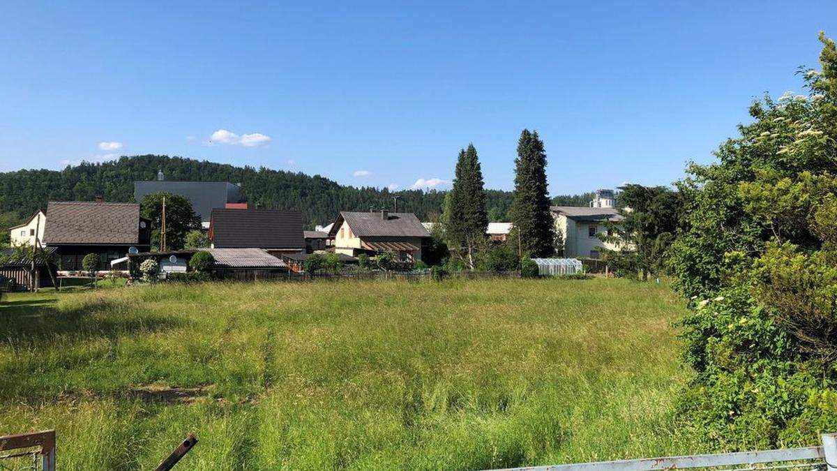 Auf dieser Wiese sollen Reihenhäuser entstehen