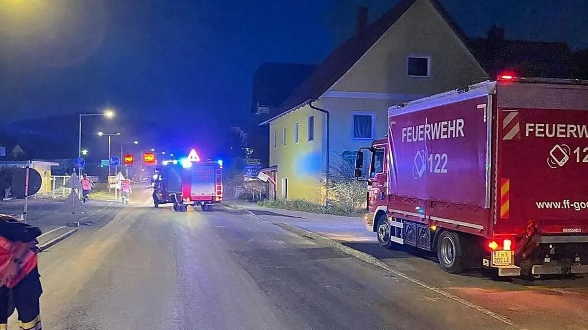 Am Donnerstagabend waren die FF Niklasdorf und die FF Leoben-Göss mit Ölbindearbeiten beschäftigt