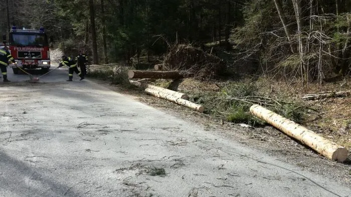 Gleich mehrere Bäume stürzten am Dienstagvormittag auf die Stullneggstraße in Grünberg-Aichegg (Gemeinde Schwanberg). Sechs Feuerwehrleute rückten mit zwei Fahrzeugen zum Einsatzort aus.