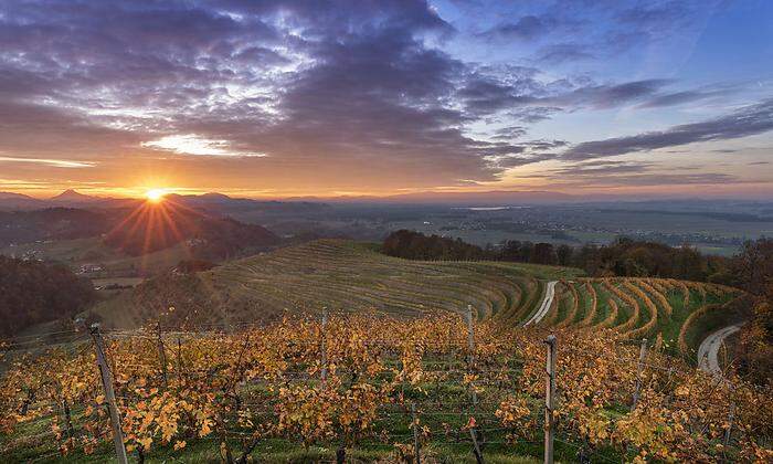 Romantisches Wandern durch die Haloze-Hügel Landschaft