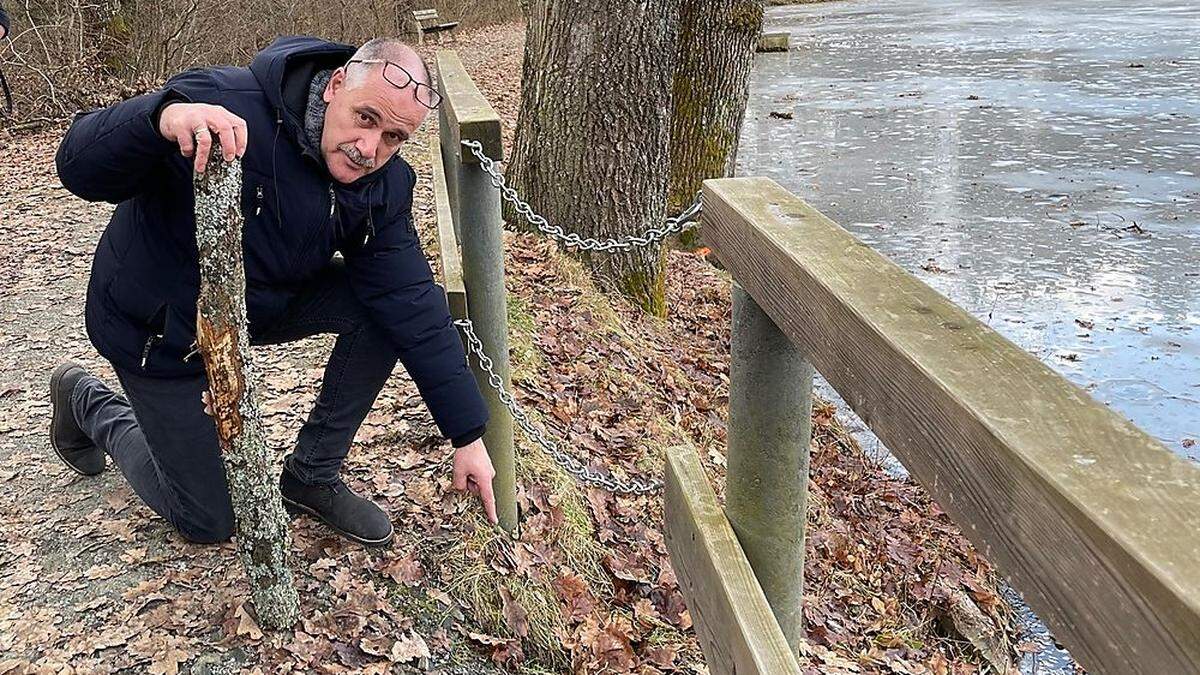 Bürgermeister Gregor Löffler zeigt von Bibern verursachte Schäden im Damm