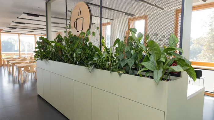 Dynatrace-Büro in Klagenfurt