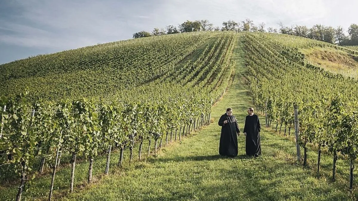 Neben Furmint werden zwölf weitere Rebsorten auf insgesamt 75 Hektar angebaut