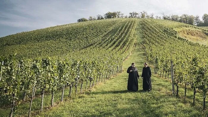 Neben Furmint werden zwölf weitere Rebsorten auf insgesamt 75 Hektar angebaut
