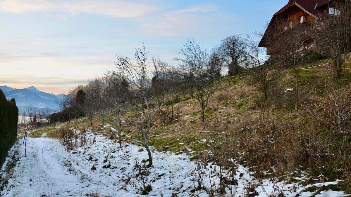 Der 2600 Quadratmeter große Grund in der Lechnerschaft bleibt Grünfläche. Rechts im Bild: der ehemalige landwirtschaftliche Betrieb &quot;Pflügl&quot;