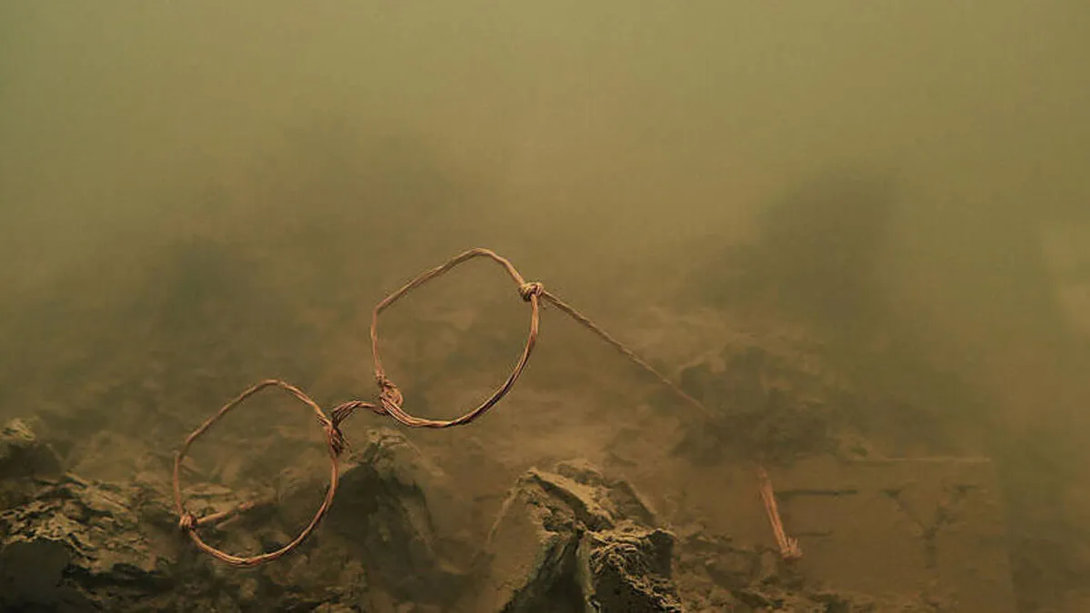 "herbst"-Ausstellung im GrazMuseum: Untersuchung der Halbwertszeit