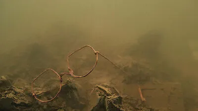 "herbst"-Ausstellung im GrazMuseum: Untersuchung der Halbwertszeit