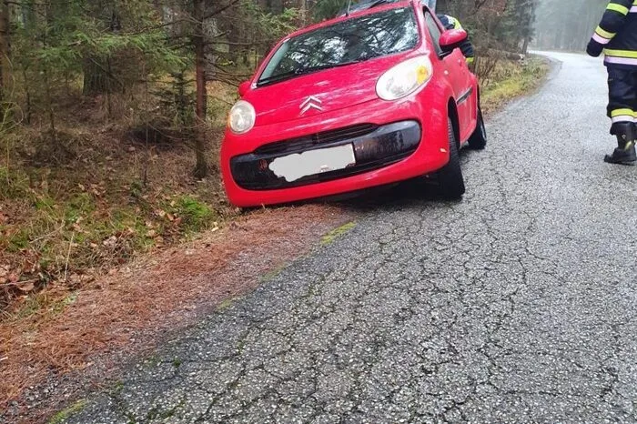 ... wie die Feuerwehr Bad Waltersdorf ...