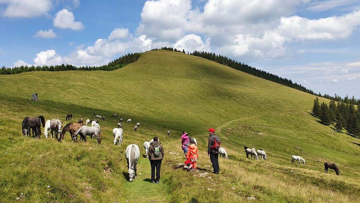 Der Bezirk hat sich touristisch etabliert, über die Zusammenlegung mit Graz sind die Beteiligten nicht glücklich