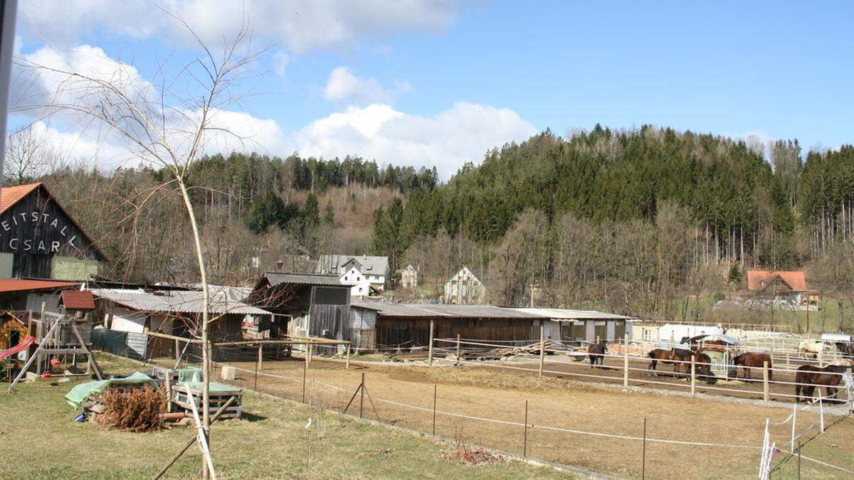 Das Reitareal in Schirning bei Gratwein