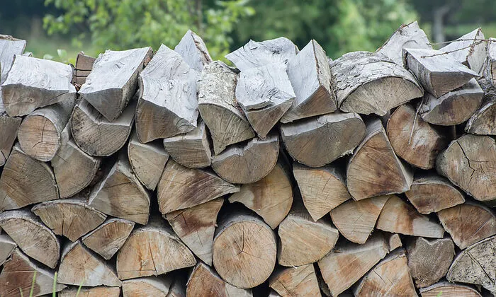 Holzöfen werden mit trockenem Holz befeuert. Wichtig ist, dass das Holz unbehandelt ist, damit keine giftigen Stoffe in die Luft abgegeben werden.