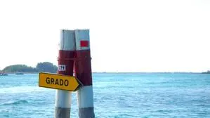 Meer