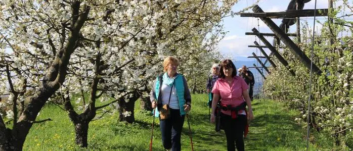 Drei verschiedene Routen wird es geben