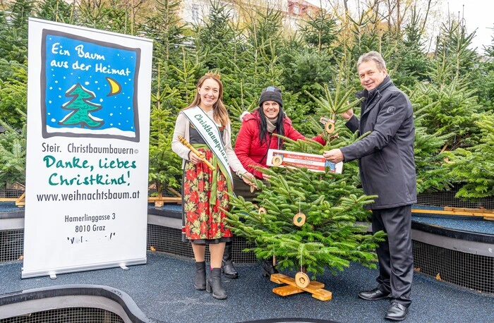 Steirische Christbaumbauern | LK_PKChristbaeume am 01.12.2023