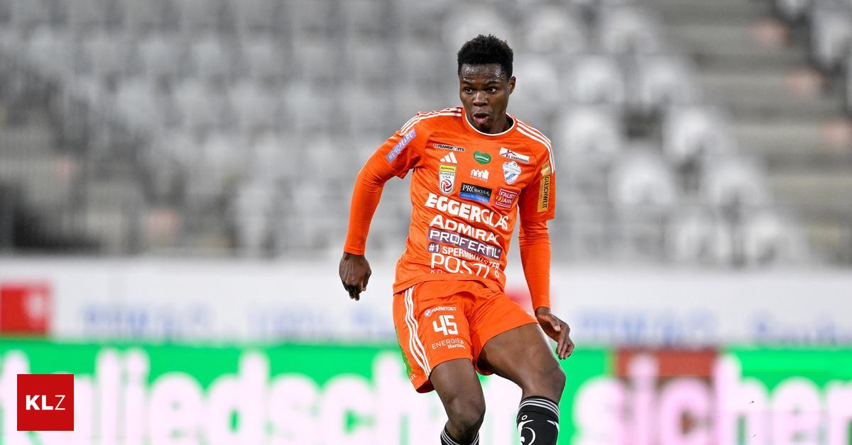 Before the duel with Rapid: Mamadou Sangari and his teammates: Three and a half Hartberg players in the national team