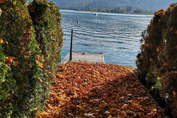 Foto von Franz Bärnthaler aus Obdach vom Spaziergang am Wörthersee, mit Blick Richtung Pyramidenkogel.