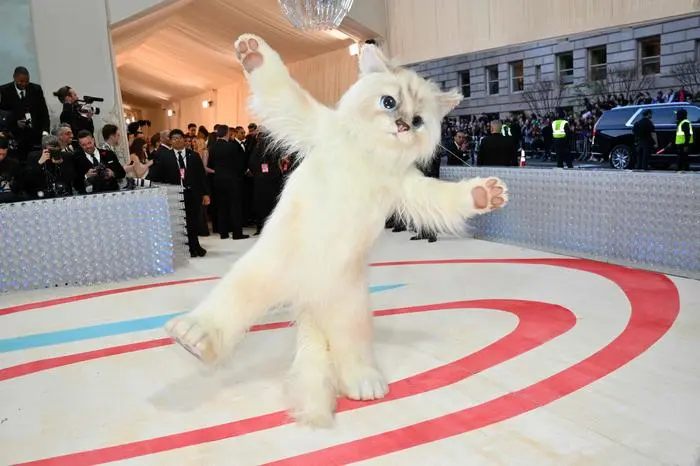Als Katze war Jared Leto bei der Met Gala