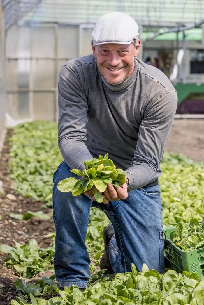 Gemüsegärtner Nikolaus Toschkov aus Klagenfurt
