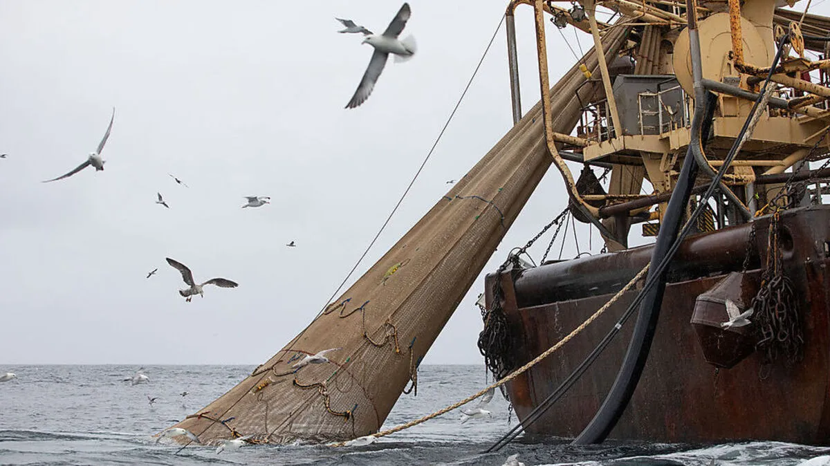 Greenpeace warnt vor MSC-Fisch am Karfreitag