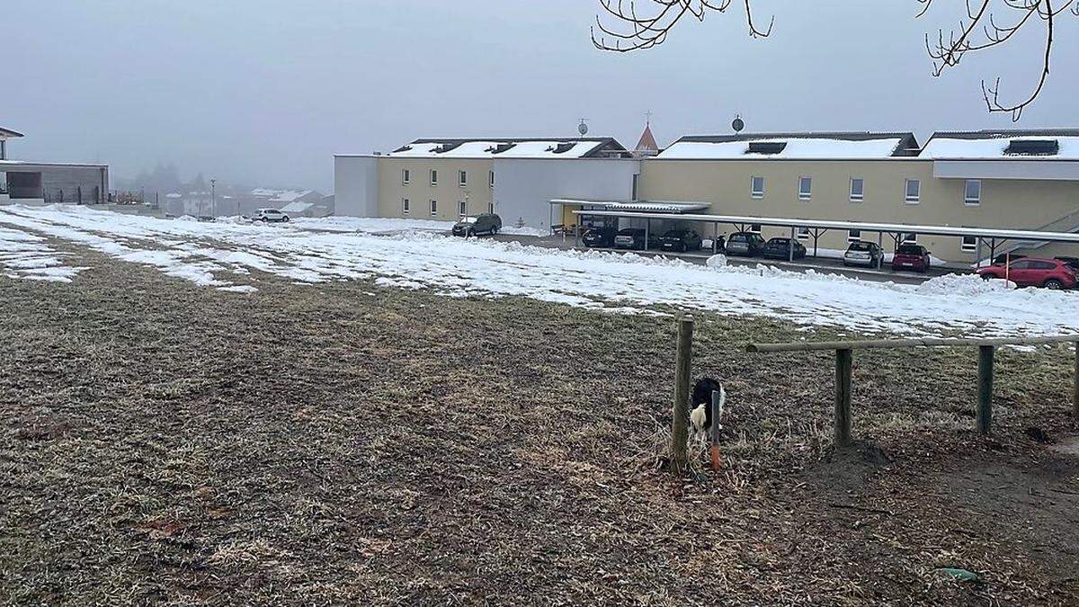 Auf dieser Wiese sollen schon bald die Bagger auffahren