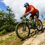 Auch ein Downhill-Rad wurde gestohlen