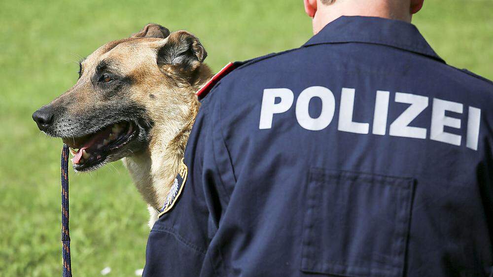 Ein Polizeihund hat zweimal zugebissen - allerdings keine Täter