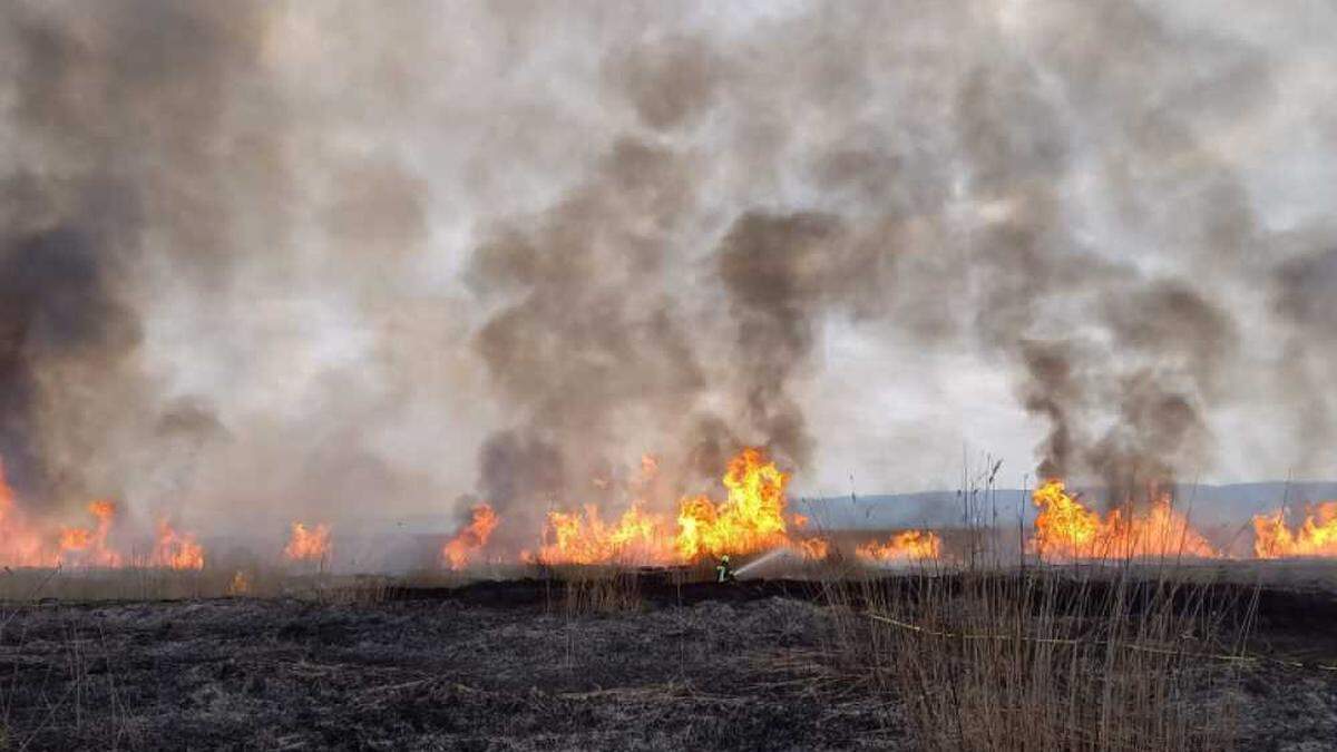 Der Brandort liegt im Schilfgürtel zwischen Winden und dem Neusiedler See und ist schwer zugänglich