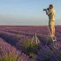 Wolfgang Fuchs beim Fotografieren eines Meers aus Lavendel
