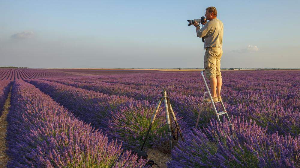 Wolfgang Fuchs beim Fotografieren eines Meers aus Lavendel