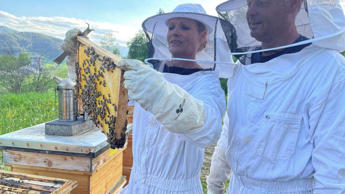 Die Thörler Hobbyimker Ines und Gerhard Kaltenegger freuen sich über ihre fleißigen Bienen
