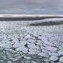 Lässt sich der Eiskollaps in der Antarktis stoppen?