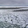 Lässt sich der Eiskollaps in der Antarktis stoppen?
