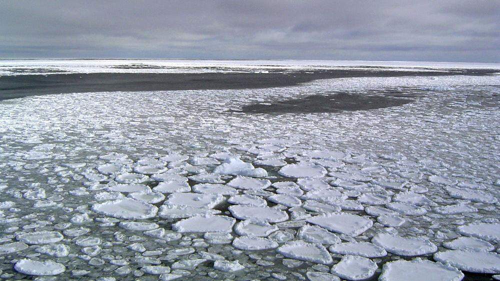Lässt sich der Eiskollaps in der Antarktis stoppen?