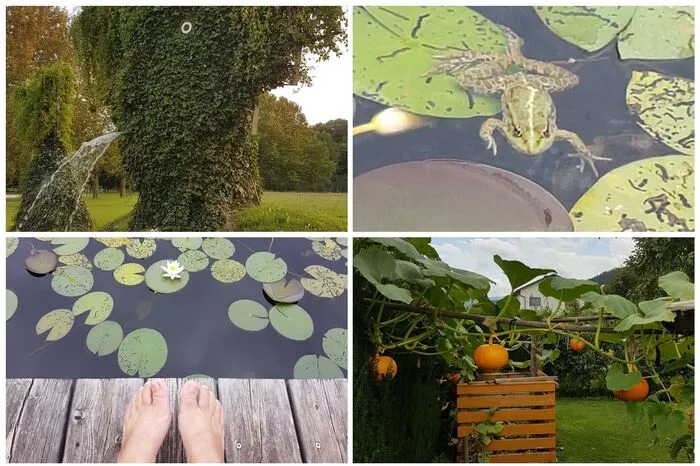 Kürbisse in Mamas Garten in St. Peter-Freienstein und Frösche im Schwimmteich im Burgenland gefielen Elke Koch besonder gut 