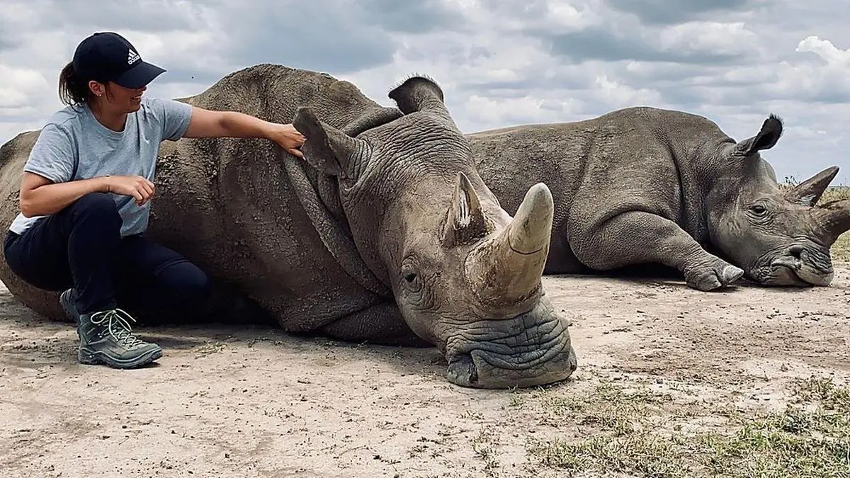 Die Hartberger Studentin arbeitete ein Monat in einem Naturschutzreservat in Kenia.
