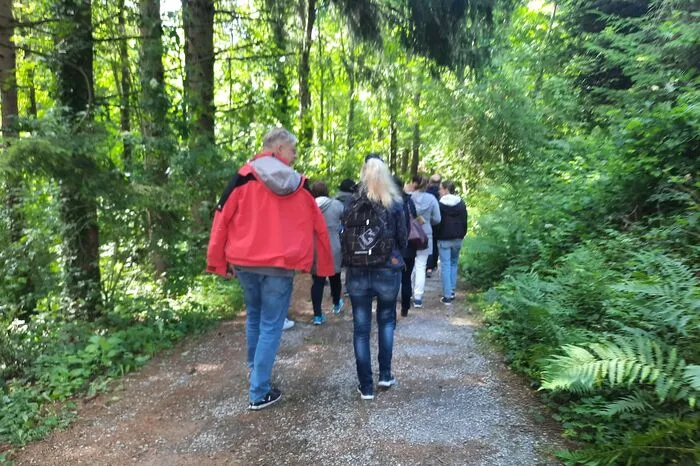 Rund 1000 Friedwaldbäume gibt es in Kumberg; es sind allesamt Laubbäume, wie Buchen oder Ahorn.