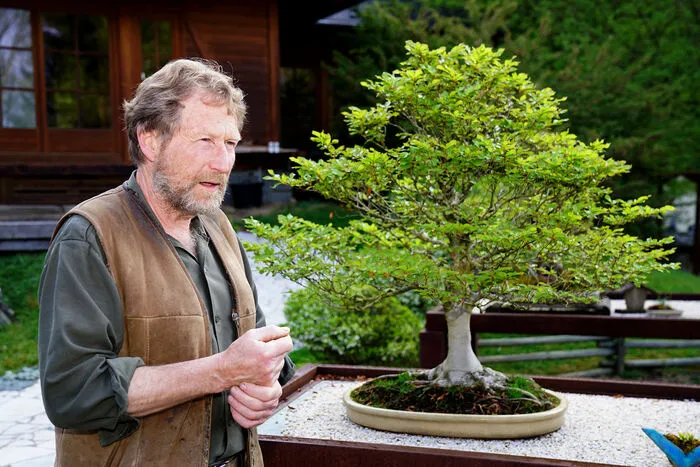 Gartentrume: Sein Garten bezaubert nicht nur Japaner: Gnther Klsch ist  der Bonsai-Flsterer