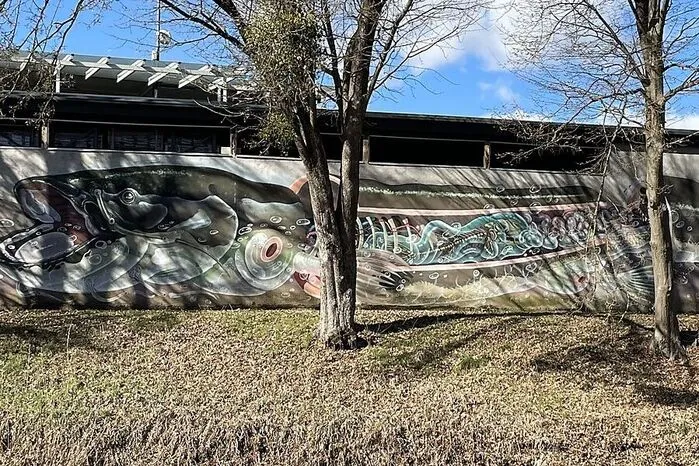Dieser kunstvolle und sezierte Aal ist am Raabufer, hinter dem Bundesschulzentrum zu finden und entstand 2013.
