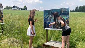 In ganz Birkfeld werden heuer wieder Fototafeln aufgestellt