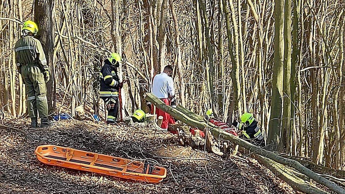 Die Feuerwehr Riegersburg stand Samstagvormittag bei einem Forstunfall im Einsatz