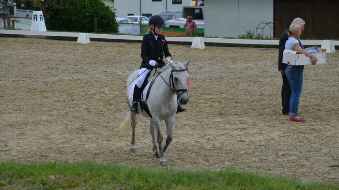 Nach einem Auftaktturnier im Juni, lud der Verein „RC Dressage Group Styria“ zum zweiten Sommerturnier des Jahres ein.