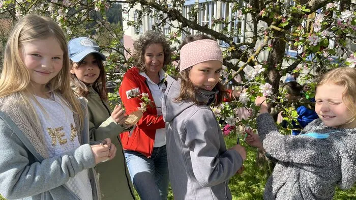 Mit Pinsel und selbst gesammelten Apfelblütenpollen rückten die Schulkinder aus Passail an.