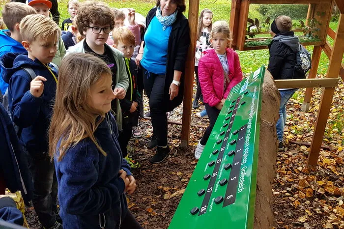 Die Anlage ist Teil des Naturerlebnispfades im Schlosspark und rund um den Grafenteich.