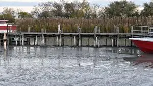 Der Hafen beim Seebad Illmitz am Neusiedler See, extrem niedriger Wasserstand, Trockenheit,
Wassermangel, geringe Fahrtiefe für Boote und Fähren. Wintersperre, kalte Jahreszeit, Seebad , 7142, Burgenland, Österreich. Im Bild der verschlammte Hafenbereich mit den leeren Bootsstegen.
